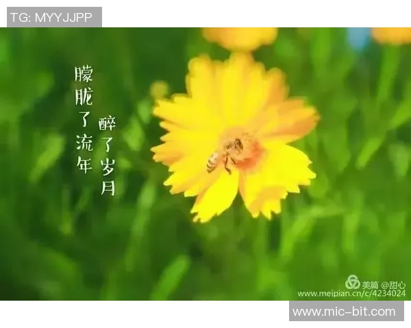 张静的飞盘人生:从热爱到成就的深度对话与启示